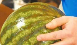 俄罗斯今日吃瓜