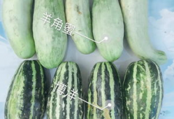 网红吃瓜今日热门吗,今日热门话题盘点