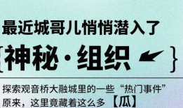 今日宜吃瓜小说在哪里看,今日宜吃瓜小说，独家阅读指南大公开！